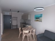 Opole Kolonia Gosławicka - okolice Witosa