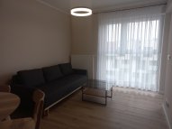 Opole Kolonia Gosławicka - okolice Witosa