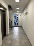 Opole Kolonia Gosławicka - okolice Witosa