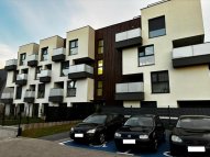 Opole Kolonia Gosławicka - okolice Witosa