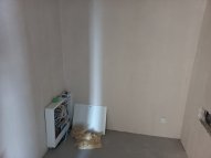 Opole Kolonia Gosławicka - okolice Witosa