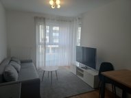 Opole Kolonia Gosławicka - okolice Witosa