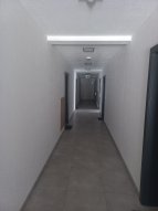 Opole Kolonia Gosławicka - okolice Witosa