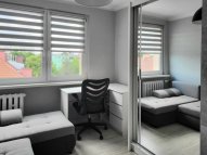 Opole, Śródmieście