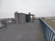 Opole Kolonia Gosławicka - okolice Witosa